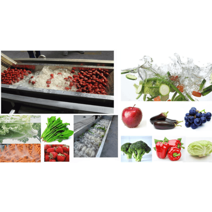 Vegetable Washing Machine